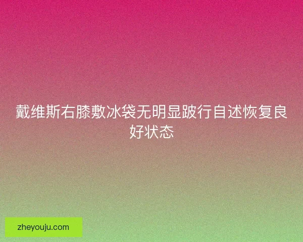 戴维斯右膝敷冰袋无明显跛行自述恢复良好状态