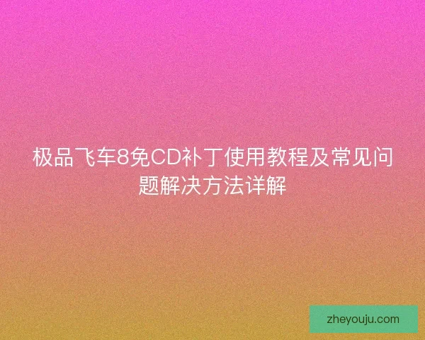 极品飞车8免CD补丁使用教程及常见问题解决方法详解