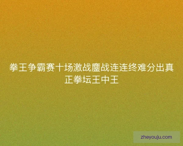 拳王争霸赛十场激战鏖战连连终难分出真正拳坛王中王