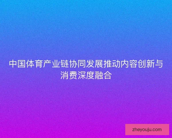 中国体育产业链协同发展推动内容创新与消费深度融合