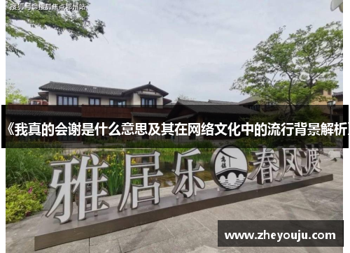 《我真的会谢是什么意思及其在网络文化中的流行背景解析》