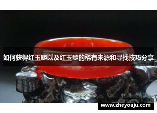 如何获得红玉髓以及红玉髓的稀有来源和寻找技巧分享