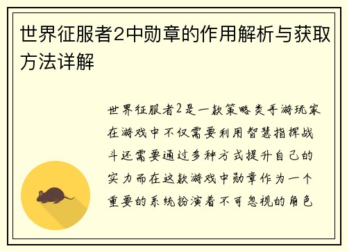 世界征服者2中勋章的作用解析与获取方法详解